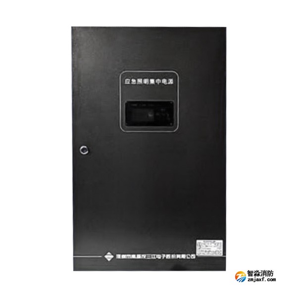 江西海湾SJ-D-0.6KVA/P601AC应急照明集中电源 4回路 壁挂式