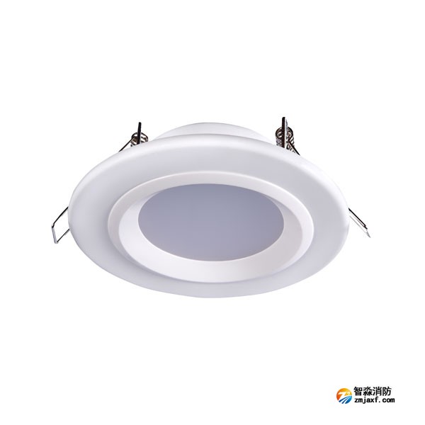 江西海湾HW-ZFJC-E6W-N621集中电源集中控制型消防应急照明灯具