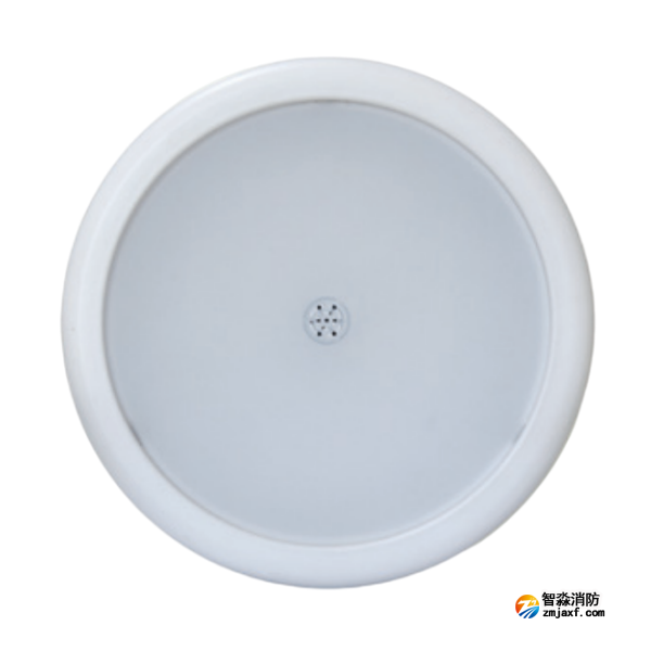 江西海湾HW-ZFJC-E18W-N655SG集电集控型消防应急照明灯具