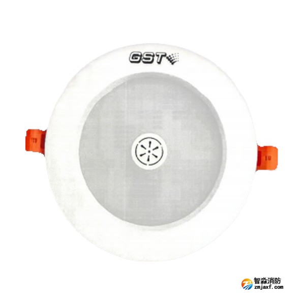 江西海湾HW-ZFJC-E6W-N651SG集中电源集中控制型消防应急照明灯具