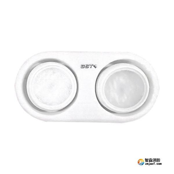 江西海湾HW-ZFJC-E3W-YN663集中电源集中控制型消防应急照明灯具（3W双头灯）